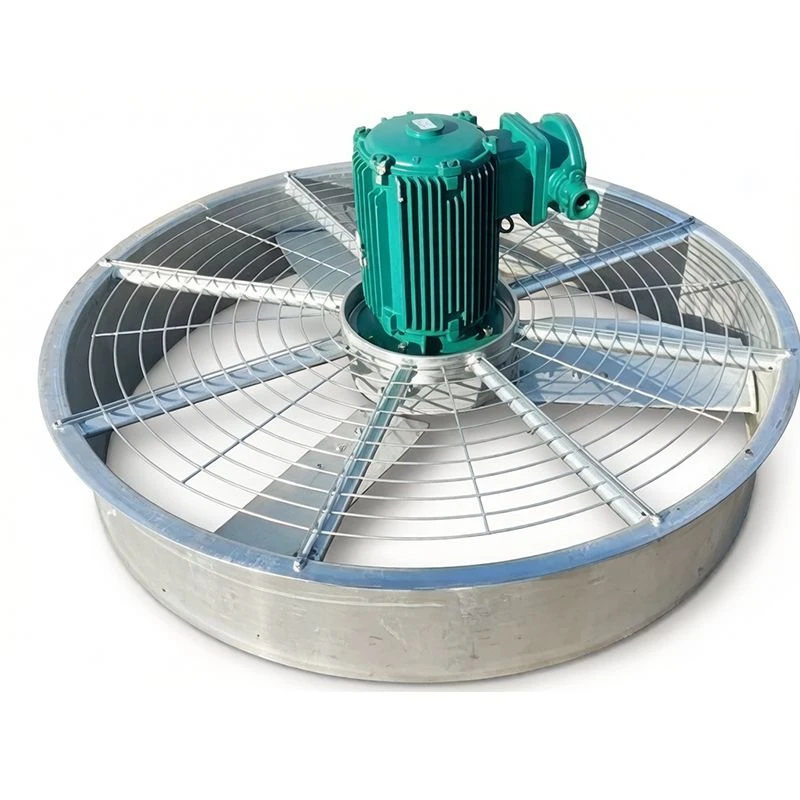 product-800-800